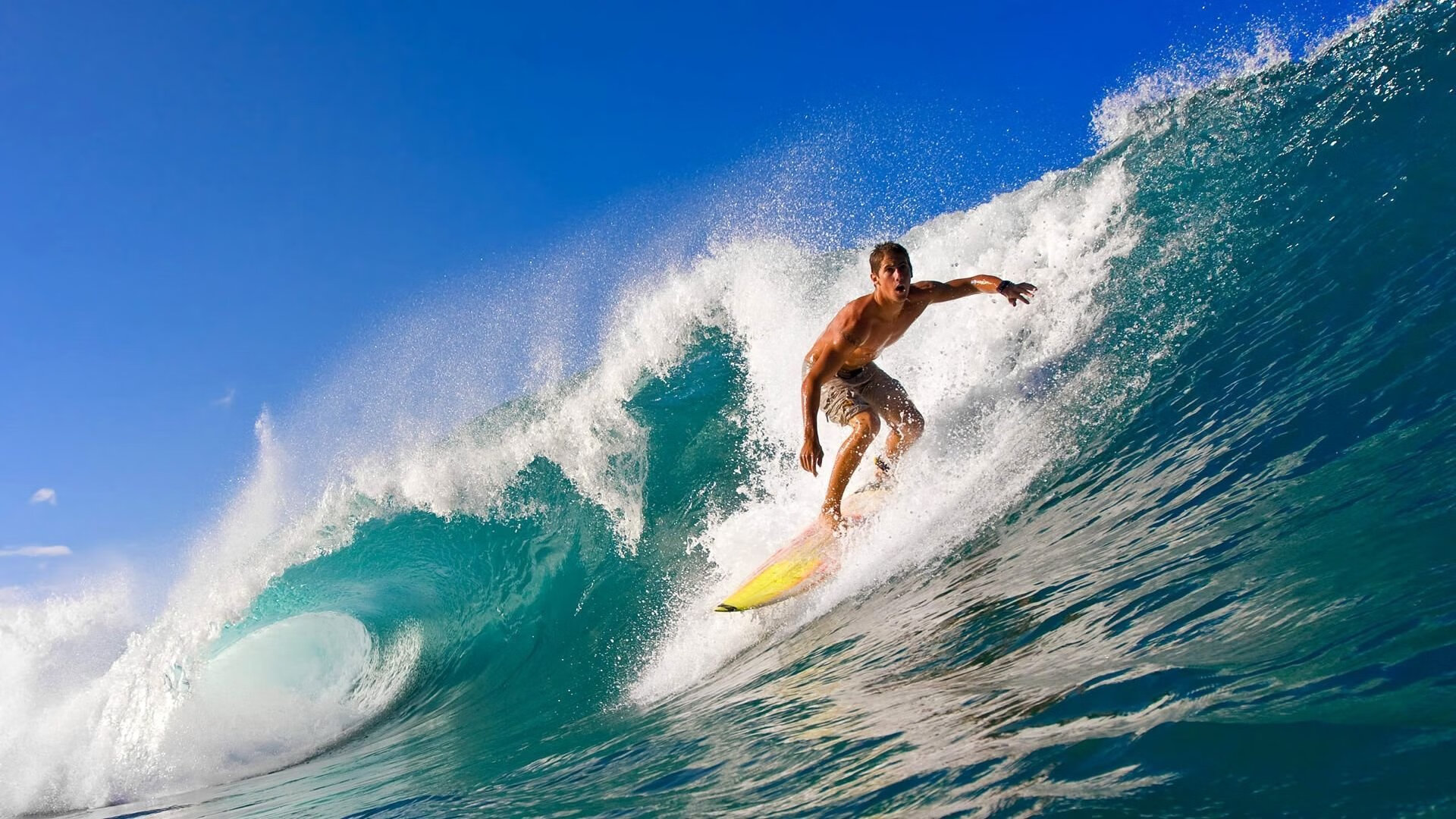 开云权威入口-_魔幻夜光跑步赛：光影交织，燃爆夜晚_，夜光跑道